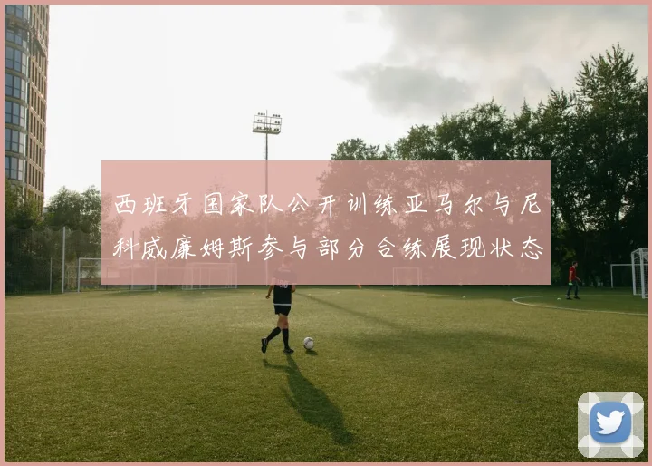 西班牙国家队公开训练亚马尔与尼科威廉姆斯参与部分合练展现状态
