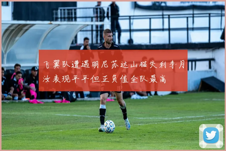 飞翼队遭遇明尼苏达山猫失利李月汝表现平平但正负值全队最高